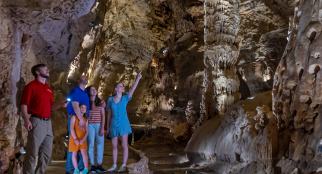Discovery Tour