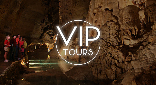VIP Tours
