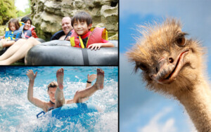 Things to do in New Braunfels: 5 GREAT ideas for your Trip!